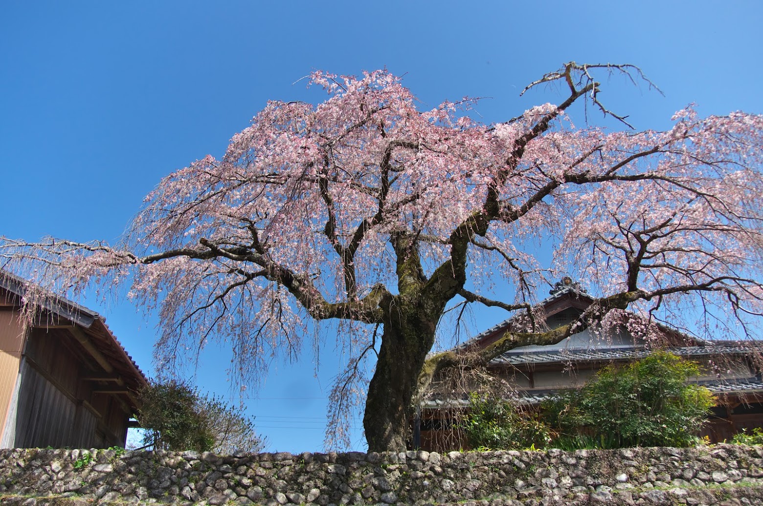 中辺路町